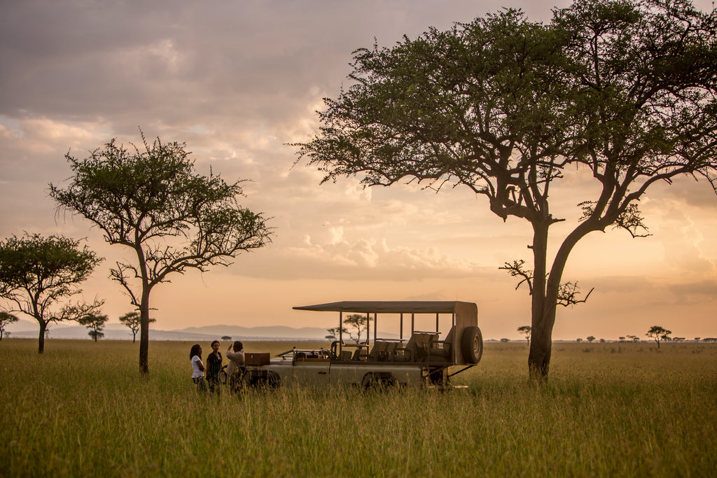 Top Luxury Travel Agencies for Your African Safari Adventure