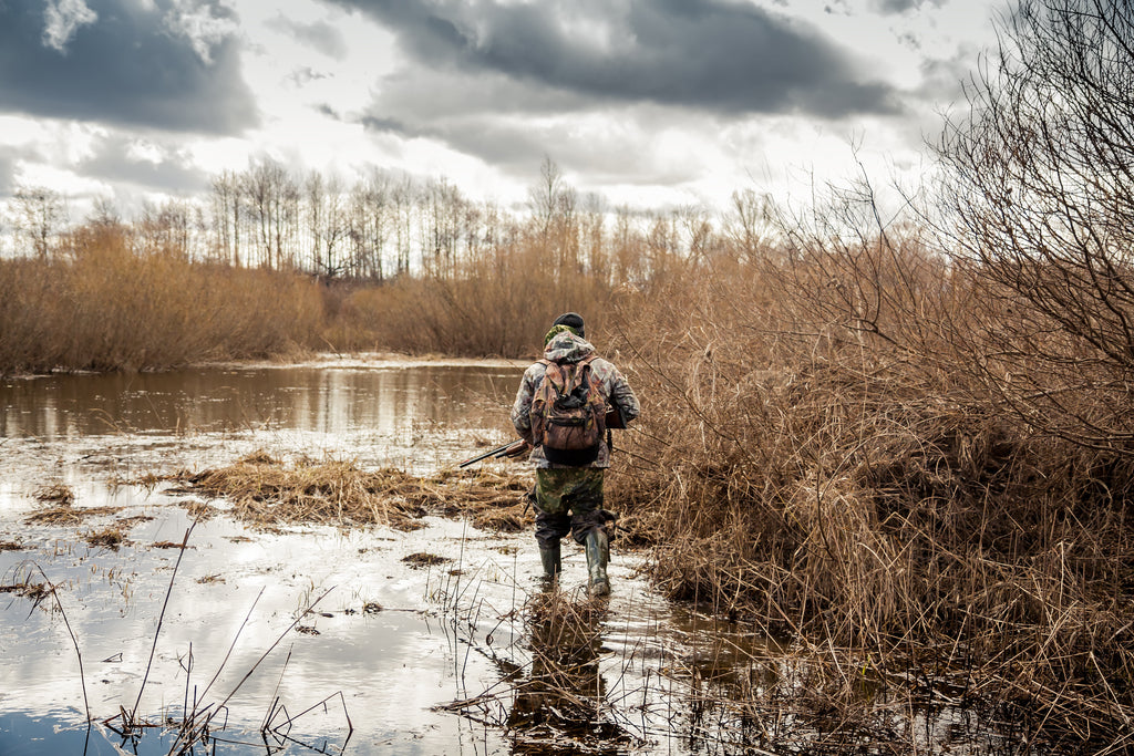 Beyond the Big Five: Africa's Hidden Waterfowl Paradise